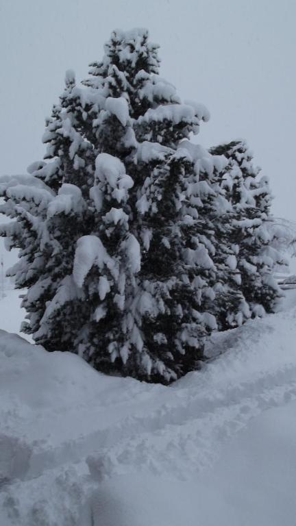 Casa Collina Lägenhet Disentis Exteriör bild